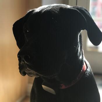 Louisville based Headshot photographer Matt Louis