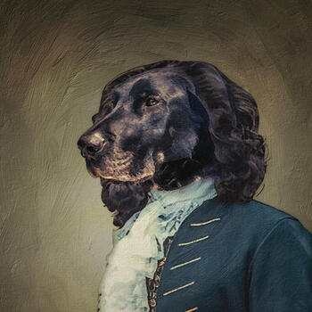 Anchorage  based Headshot photographer Matthew Nyholm