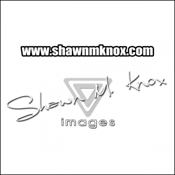 Abbeville based Headshot photographer Shawn M. Knox