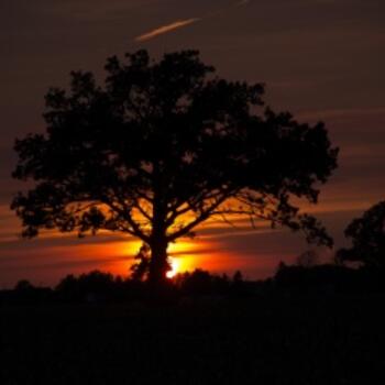 Bay City based Headshot photographer Todd Emeott